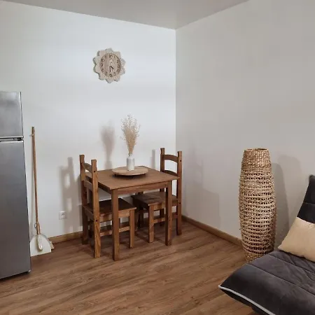 Duplex Entierement Renove * Tarbes